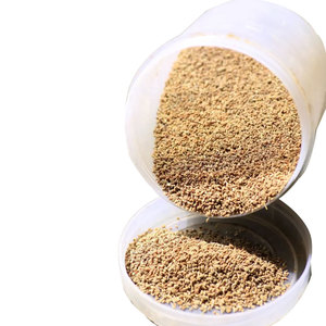 Ajwain (carambola) | Limpio y fragante | Solución de hierbas - Product Image 6