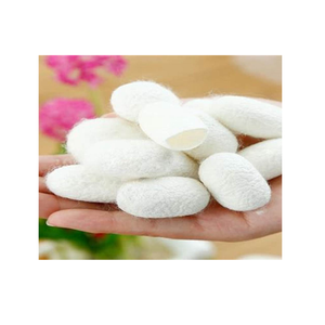 Capullos de seda cruda para uso facial Exfoliación suave para una piel suave y radiante - Product Image 3