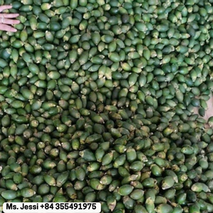 Nueces de areca congelada de primera calidad/nuez de betel para masticar tradicional/Sra. Jessi - Product Image 2