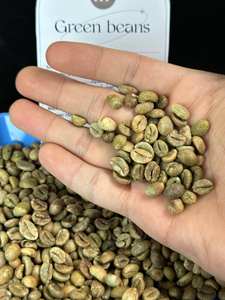 Café de grano entero Robusta Premium de la mejor calidad, sabor neutro, los granos arábicos más vendidos envasados a granel a un gran precio - Product Image 4