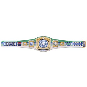 Boxeo Lucha libre WWE Campeonato Personalizado Boxeo Campeonato Cinturón Mejor Calidad Vendedor superior Logotipo personalizado Cinturón Ronpex - Product Image 6