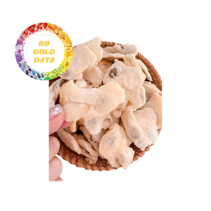 Chips de Guanábana Seca, Fruta Seca Suave y Dulce, Proveedor de Refrigerios Tropicales - Product Image 1