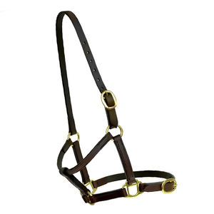 Halter en cuir de selle anglaise fabriqué à la main de qualité supérieure Équipement occidental d'entraînement confortable et élégant avec rembourrage souple en nylon durable - Product Image 2