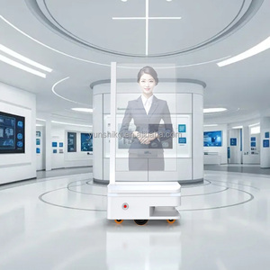 Trong suốt OLED thương mại thông minh cao robot giao diện USB OLED Robot di động tự phát sáng hiển thị quảng cáo OLED - Product Image 1