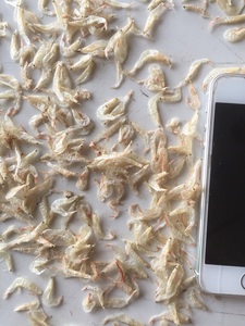 Gamba de camarón deshidratada de calidad superior de Vietnam para cobertura de alimentos - Product Image 5