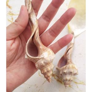 Juego de Servir Ensaladas de Nácar y Conchas Marinas de Alta Calidad, Ecológico, Apto para Lavavajillas, Regalo de Inauguración, Utensilios para Ensaladas - Product Image 5