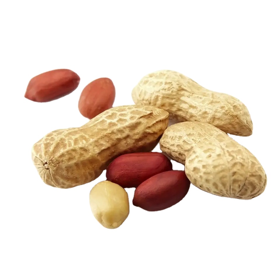 Качество Bold сырой арахис ядра арахиса арахис