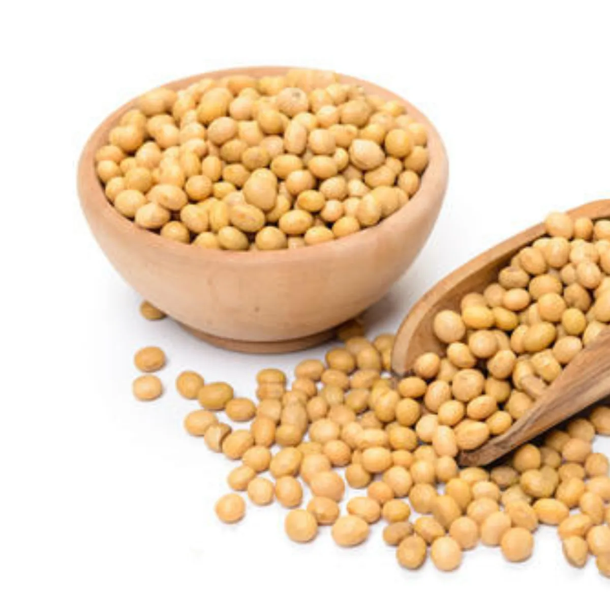 2024 kırpma kanada yüksek Protein soya en grano sarı Soya soya filizleri/Soya fasulyesi satılık