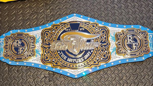 Cinturón de piel auténtica suave de 4mm de grosor pesado personalizado para lucha libre, trofeo de Premio de Artes Marciales duradero, parte delantera de desgaste de torneo - Product Image 2