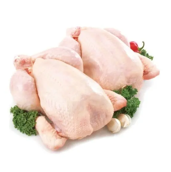 Il pollo Halal Halal congelato Halal acquista il produttore di commercio all'ingrosso Online fornitore di scorte sfuse