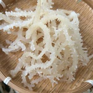 Carraghénane de qualité supérieure, de qualité fraîche, issue de coton marin naturel, riche en carraghénane, meilleures ventes, vente en gros, offre spéciale, export en vrac - Product Image 1