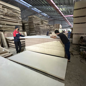 Contreplaqué peuplier économique pour les importateurs de l'UE |   Léger |   Qualité stable |   Fabricant vietnamien - Product Image 1