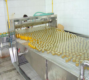 Hojas de Espinaca Enlatadas Conservadas en Salmuera para Restaurantes, Suministros, Mercados Minoristas, Kits de Comida, Uso Internacional - Product Image 5