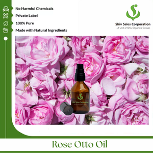 Aceite floral de Rosa Otto para productos de bienestar, formulaciones de belleza y soluciones de perfumería Suministro a gran escala - Product Image 3