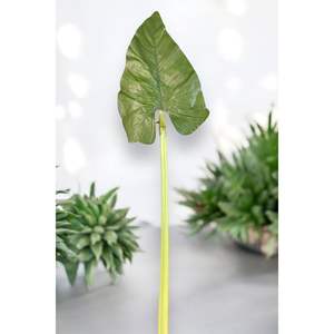 Hoja tropical 80cm W - Product Image 1