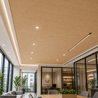 WYRAX Panneau de plafond en PVC léger pour espace de travail professionnel, largeur 300 mm, profil 10 mm, aspect bois naturel, surface lisse, entretien facile