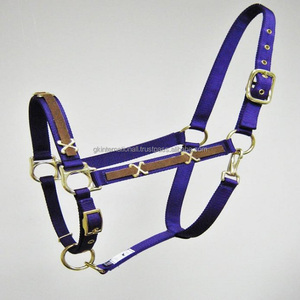 Équipement pour chevaux produits pour chevaux équestres Sangle en nylon de qualité supérieure fantaisie décorative licol en nylon pour chevaux en plusieurs couleurs et taille personnalisée - Product Image 6