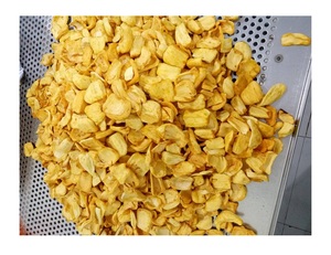 Fournisseur du Vietnam Chips séchées fruit de jack-fruit de jacquier doux naturel-fruits secs croquants-chips de jacquier dans un sac - Product Image 6