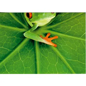 Rompecabezas Educativo Personalizado para Niños - Rompecabezas de Madera y Cartón con Diseño de Rana, Material de Cartón, Logotipo Impreso, Juguete de Emparejamiento de Animales - Product Image 1