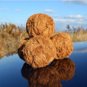 Meilleurs produits fibre de coco tennis coton corde jouet pour animaux de compagnie fabriqué au Vietnam HOANG LINH SG Kimy + 84938616690 - Product Image 1