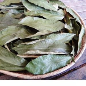 Feuilles de corossol entières vertes naturelles séchées biologiques pures de qualité supérieure pour tisane - Product Image 2