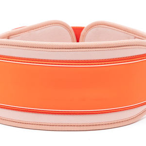 Cinturones de Neopreno para Levantamiento de Pesas con Logotipo Personalizado / Equipo de Gimnasio para Fisicoculturismo y Fitness, Cinturón de Neopreno para Levantamiento de Pesas - Product Image 4