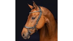 Brida anatómica - Product Image 3