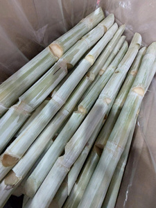 Premium Quality Frozen Sugarcane Peeled Sticks Natural <b>Sweet</b> Green Cane Authentic Tropical Product For Wholesale Export - Product Image 4