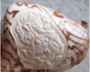 Cymbiola tallado estilo Ganesha ornamento concha marina joyería tallado estilo Ganesha ornamento religioso Animal Shell Material - Product Image 3