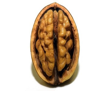 Walnuts <b>Kernels</b> in Good Color Bulk - Product Image 2
