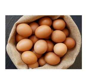 A la venta huevos de gallina blancos y marrones a granel huevos de granja frescos y nutritivos ahora disponibles a un precio muy barato - Product Image 6