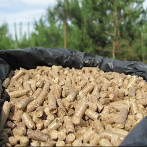 Combustible écologique de granulés de bois de biomasse de qualité supérieure pour le chauffage et l'utilisation industrielle - Product Image 3