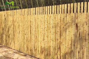 Fabricante de bambú, pantalla plegable de alta calidad, valla de bambú plegable para interiores y exteriores para jardín, fabricada en Vietnam - Product Image 3