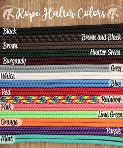 Bandeau nasal Bronc avec licou en corde de qualité supérieure Bandeau nasal de cheval multifonctionnel et léger - Product Image 3