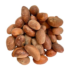 คุณภาพสูงขม-Kola (Garcinia Kola) - Product Image 4