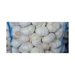 Ail frais à bas prix disponible pour les achats en gros et l'exportation - Product Image 4