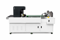 Impresora Industrial de Inyección de Tinta Digital de Una Sola Pasada, de Alta Velocidad, para Bolsas de Papel, Bolsas de Papel Kraft, con Cabezal de Impresión HP