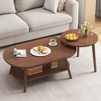 Table basse moderne de style nordique pour petit appartement avec étagère de rangement, idéale pour salon, table d'appoint de canapé, combinaison pour la maison