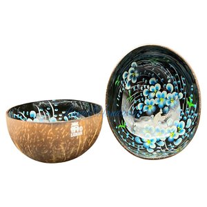 ชามมะพร้าวเคลือบสีสันสดใส/ชุด cocobowls/cococups ช้อนตักอาหารสำหรับงานปาร์ตี้ส่งออก - Product Image 6