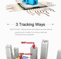 Traceur GPS GSM 2G 3G 4G pour animaux de compagnie avec collier, mini pour chiens et chats, suivi en temps réel via PC et application, design mini, léger