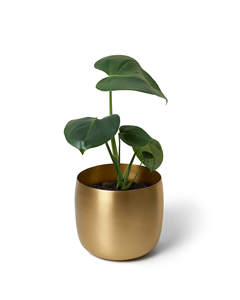 Vendeur chaud 100% Pots De Fleurs En Laiton Design Élégant Auto Arrosage Pot De Jardinière Prix De Gros Top Qualité Marteau Conception Pot De Fleur - Product Image 5