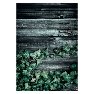 Tapis de salon en chenille antidérapant, imprimé numériquement, motif géométrique contemporain vert sauge, lavable en machine, vente en gros RUGS DEPOT LXDP-0796 - Product Image 1