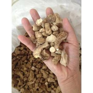 TIGES SHIITAKE BIOLOGIQUES PREMIUM ORIGINE VIETNAM: UNE COLLATION NUTRITIVE ET À LA SAVEUR - Product Image 1