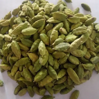 Venta al por Mayor de Semillas de Cardamomo Verde Natural Secas de Estados Unidos, 8mm, 100% Puro Natural, Bolsas de PP de 25/50kg, Venta a Granel a Nivel Mundial