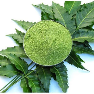 Polvo de Neem Puro para el Mantenimiento Orgánico del Césped y la Prevención de Insectos, Acondicionador Natural del Suelo y Potenciador de la Salud del Césped, 5 lb - Product Image 1