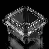 Top Groothandel Biologisch Afbreekbare Suikerrietpla Verpakking Wegwerp Voedselopslagcontainer Fruit Clamshell Boxes Plastic Bakje