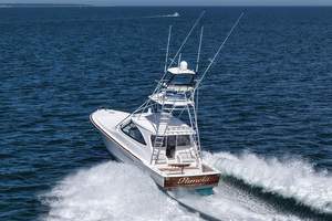 PRIX RÉDUIT pour les OUTILS ARTISANAUX LÉGERS HAUTE PERFORMANCE Vikingg 48 Sport Tower 2024 - Product Image 3