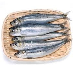 Sardinas Congeladas a Precio Competitivo, Suministro al por Mayor, Empresa Exportadora de Pescado - Product Image 1