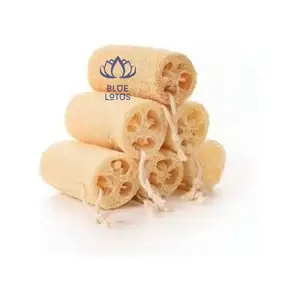 Kitchen Sponges Organic Fruit Vegetable loofah sponge - scrubbing pad make in Viet Nam With 100% Natural