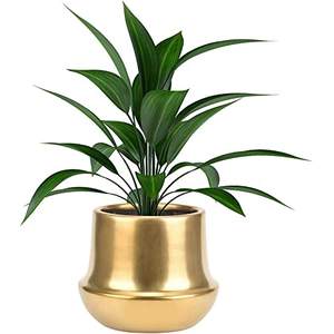 Pot de fleurs au design moderne, pour balcon, décoration de mariage, pour salon, pot de fleurs décoratif en métal - Product Image 1